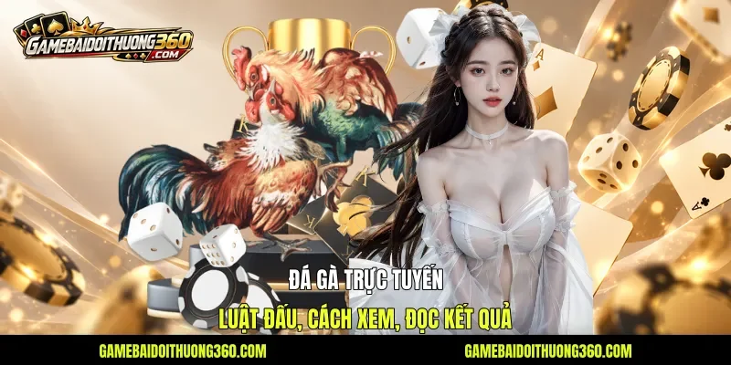 Đá Gà Trực Tuyến: Luật Đấu, Cách Xem, Đọc Kết Quả