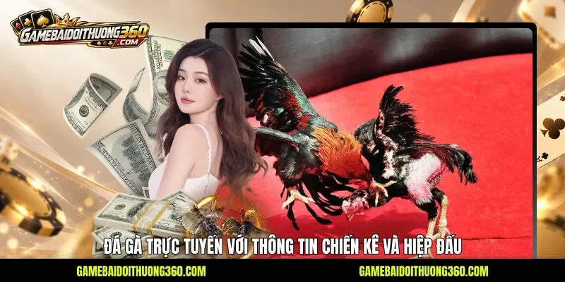 Đá gà trực tuyến với thông tin chiến kê và hiệp đấu Đá gà trực tuyến với thông tin chiến kê và hiệp đấu
